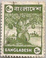Bangladesh-24-AB16