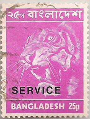Bangladesh-O17-AB16