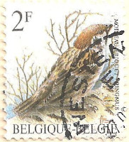 Belgium-2846-AM8