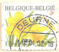 Belgium-Year-2001-AM7