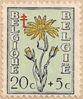 Belgium-1298-J10