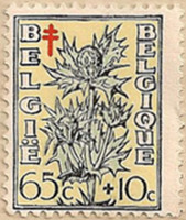 Belgium-1299-J10