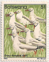 Botswana-519-AE30