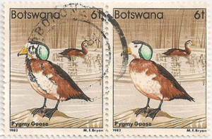 Botswana-520.1-AE30