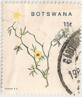 Botswana-666-AE28
