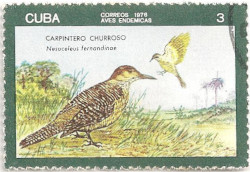 Cuba-2303-A34