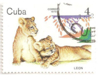 Cuba-2599-A36