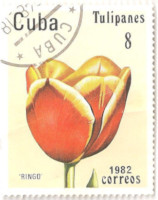 Cuba-2802-A36