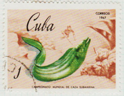 Cuba 1527 i91
