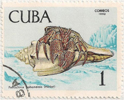 Cuba 1639 i91