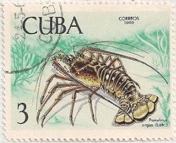 Cuba 1641 i91