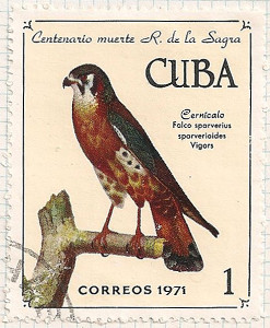 Cuba 1890 i101