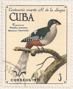 Cuba 1892 i101