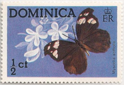 Dominica-459-AD34