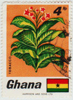 Ghana-510-AD21