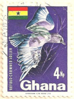 Ghana-465-AL98