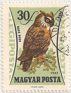 Hungary 1851 i99