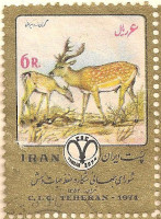 Iran-1855-AM25