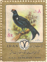 Iran-1856-AM25