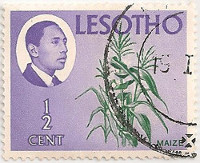 Lesotho-125-AE15
