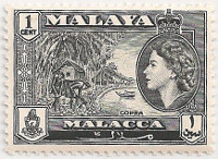 Malacca-39-AF19