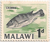 Malawi-216-AE33
