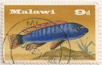 Malawi-282-AE33