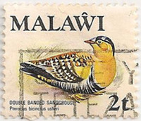 Malawi-474-AE41