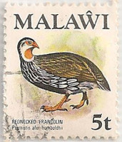 Malawi-476-AE41