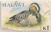Malawi-483-AE35