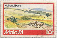Malawi-651-AE36