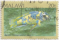 Malawi-695-AE38