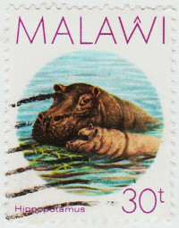Malawi-773-AE38.1