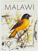 Malawi-794-AE40.1