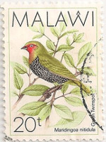 Malawi-796-AE39