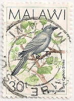 Malawi-797-AE41