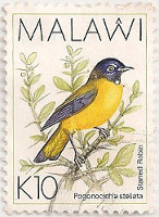 Malawi-804-AE35