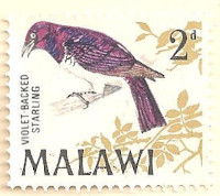 Malawi-311-AK26