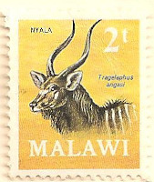 Malawi-376-AK26