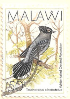 Malawi-799-AK26