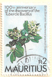 Mauritius-650-AL127