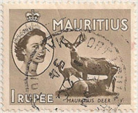Mauritius 303 i9