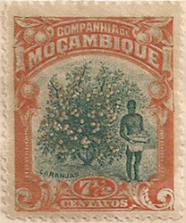 Mozambique Co 208 H780