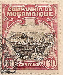 Mozambique Co 230 H780
