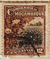 Mozambique-Company-229-J74