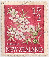 New-Zealand-781-AG