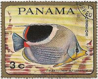 Panama-Fishes-3-AB80