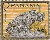 Panama-Fishes-4-AB80