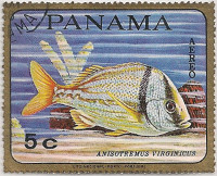 Panama-Fishes-5-AB80