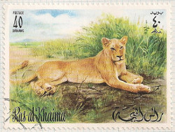 Ras al Khaima No no.3 i106